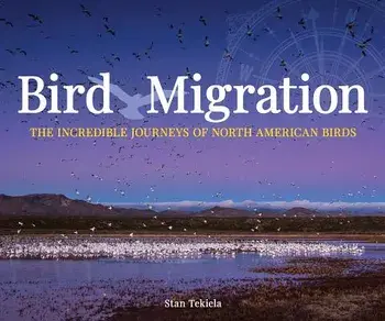 Bird Migration: The Incredible Journeys of North American Birds, Paperback/Stan Tekiela