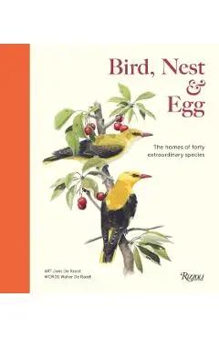 Bird, Nest & Egg - Walter De|raedt Raedt