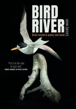 Bird River, Paperback/John Davies