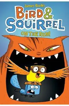Bird & Squirrel on the Run (Bird & Squirrel #1) - James Burks