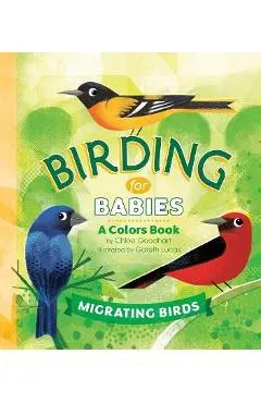 Birding for Babies: Migrating Birds: A Colors Book - Chloe Goodhart