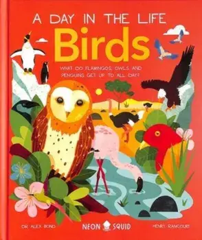 Birds (A Day in the Life). What Do Flamingos, Owls, and Penguins Get Up To All Day?, Hardback/Neon Squid