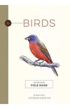 Birds: An Illustrated Field Guide - June Lee