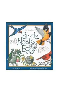 Birds, Nests & Eggs - Mel Boring