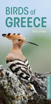 Birds of Greece, Paperback/Rebecca Nason