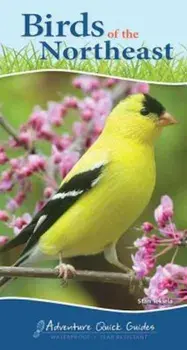 Birds of the Northeast, Paperback/Stan Tekiela