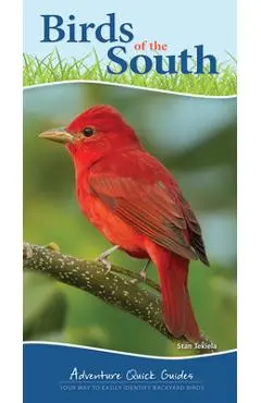 Birds of the South: Your Way to Easily Identify Backyard Birds - Stan Tekiela