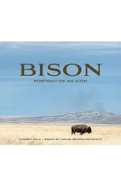 Bison: Portrait of an Icon - Audrey Hall