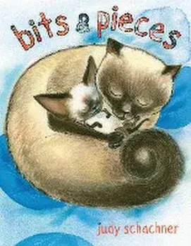 Bits & Pieces, Paperback/Judy Schachner
