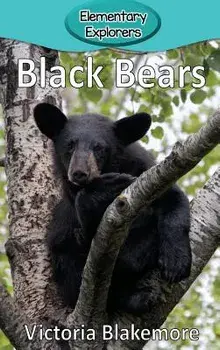 Black Bears, Hardcover/Victoria Blakemore