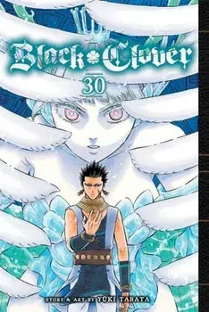 Black Clover, Vol. 30, Paperback/Yuki Tabata