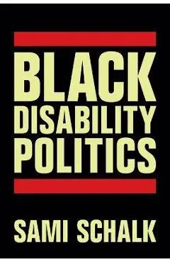 Black Disability Politics - Sami Schalk