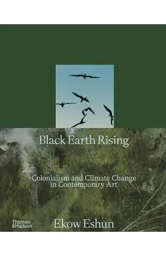 Black Earth Rising - Ekow Eshun
