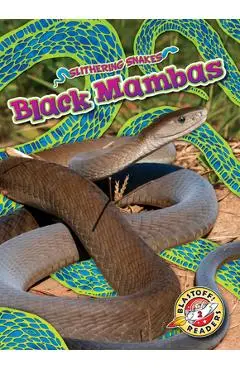 Black Mambas - Joanne Mattern