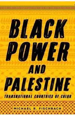 Black Power and Palestine - Michael R Fischbach