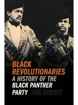 Black Revolutionaries. A History of the Black Panther Party, Paperback/Joe Street