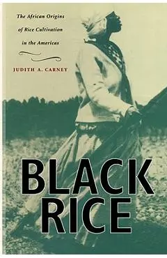 Black Rice: The African Origins of Rice Cultivation in the Americas - Judith A. Carney