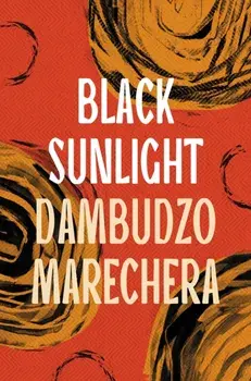 Black Sunlight, Paperback/Dambudzo Marechera