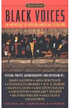 Black Voices - Various