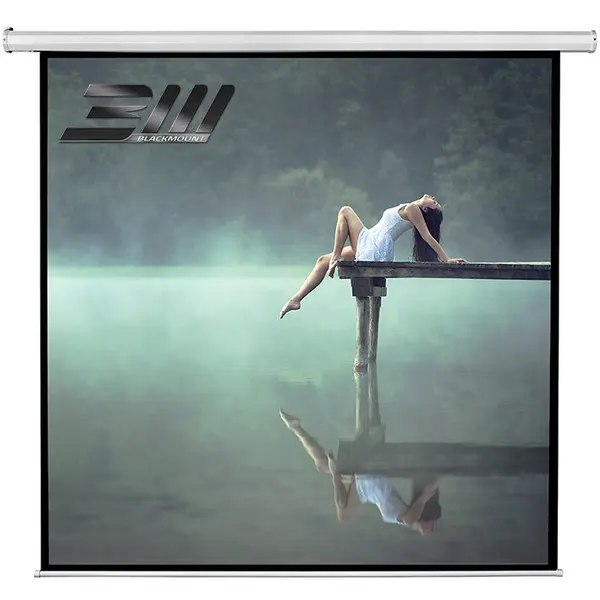 Blackmount Ecran proiectie electric perete/tavan Blackmount, marime vizibila 300cm x 300 cm, cu telecomanda