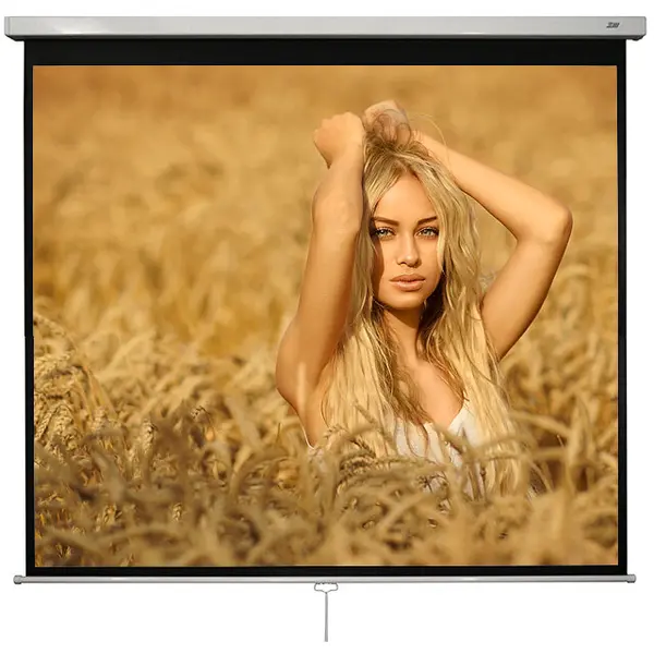 Blackmount Ecran proiectie manual, perete/tavan, 240 x 240 cm, Blackmount, Format 1:1