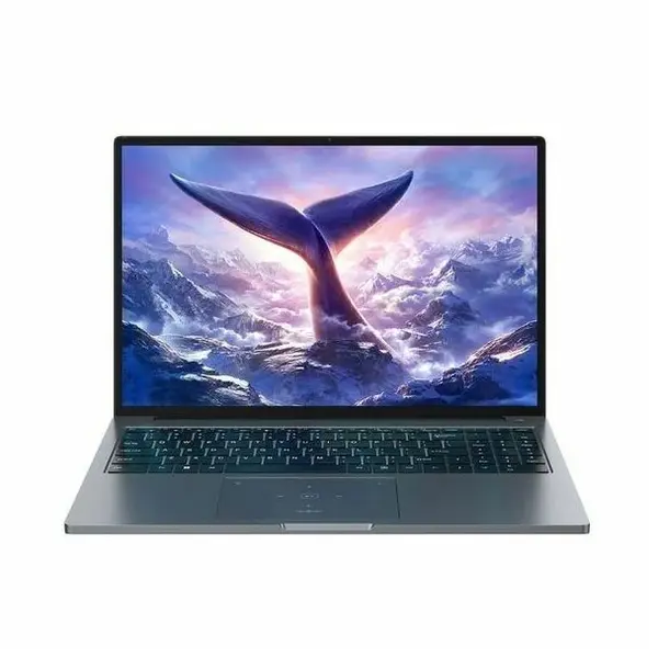Blackview Laptop Blackview GamiBook-8, Procesor AMD Ryzen 7 7735HS, Display 16 WUXGA IPS, 16GB DDR5 RAM, 512GB SSD, Placa grafica integrata AMD Radeon 680M, Windows 11 Pro, Gri