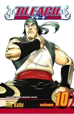 Bleach, Vol. 10, 10 - Tite Kubo