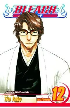 Bleach, Vol. 12, 12 - Tite Kubo