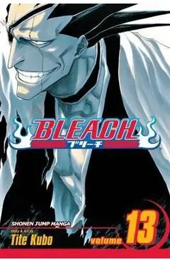 Bleach, Vol. 13, 13 - Tite Kubo
