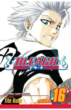 Bleach, Vol. 16, 16 - Tite Kubo