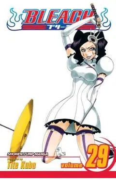 Bleach, Vol. 29, 29 - Tite Kubo