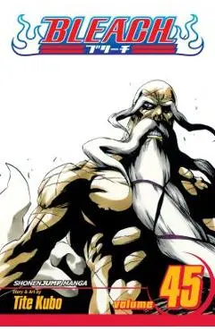 Bleach, Vol. 45, 45 - Tite Kubo