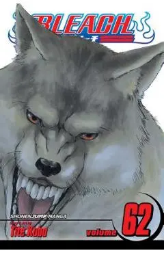 Bleach, Vol. 62, 62 - Tite Kubo