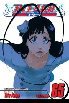 Bleach, Vol. 65, Paperback/Tite Kubo