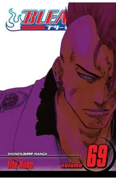Bleach, Vol. 69 - Tite Kubo