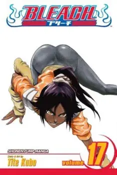 Bleach, Volume 17, Paperback/Tite Kubo