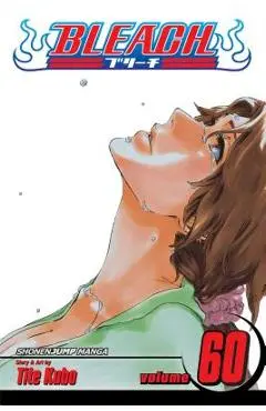Bleach, Volume 60 - Tite Kubo