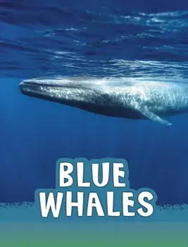 Blue Whales, Paperback/Mari Schuh
