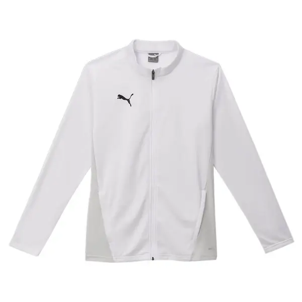 Bluza Puma teamGOAL Training - 04 White, XXL