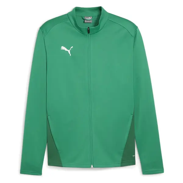 Bluza Puma teamGOAL Training - 05 Pepper Green, M