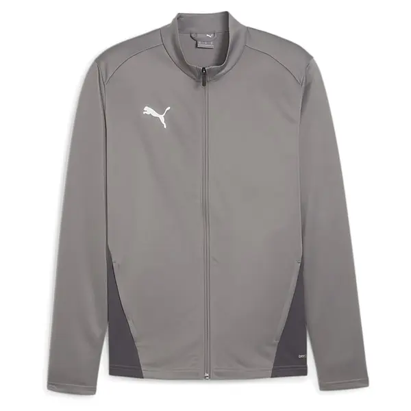 Bluza Puma teamGOAL Training - 13 Smoked Pearl, XL