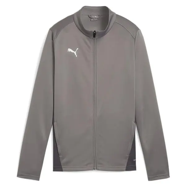 Bluza Puma teamGOAL Training Women - 13 Smoked Pearl, XL