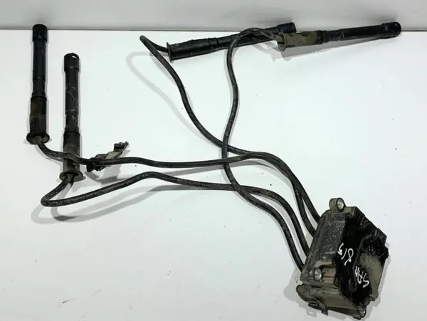Bobina inductie Dacia Sandero 2 (2012-2017) 1.2 benzina D4F732