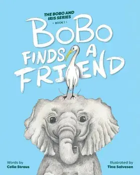 BoBo Finds a Friend, Paperback/Tina Salvesen