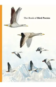 Book of Bird Poems - Ana Sampson