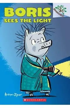 Boris Sees the Light: A Branches Book (Boris #4) - Andrew Joyner
