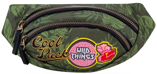 Borsetă Cool Pack Albany - Badges G Green