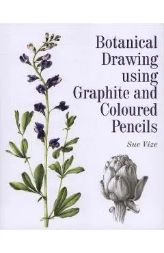 Botanical Drawing using Graphite and Coloured Pencils - Sue Vize