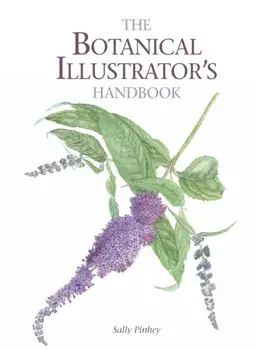Botanical Illustrator's Handbook, Paperback/Sally Pinhey