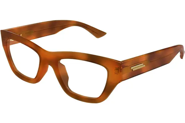 Bottega Veneta BV1360O 006